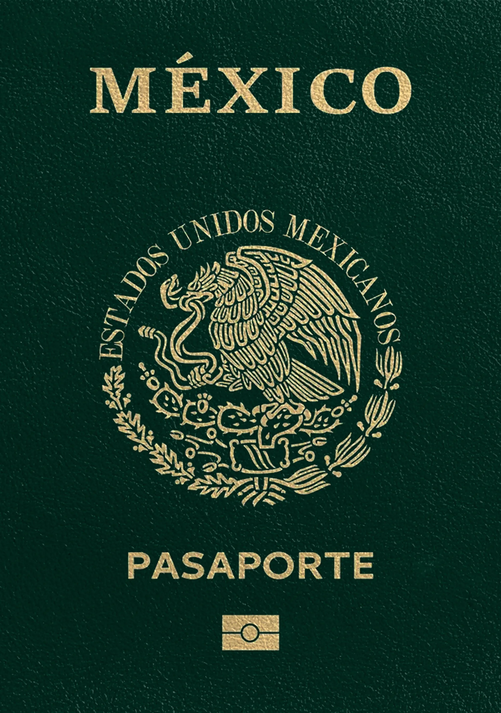 Foto para Pasaporte Mexicano