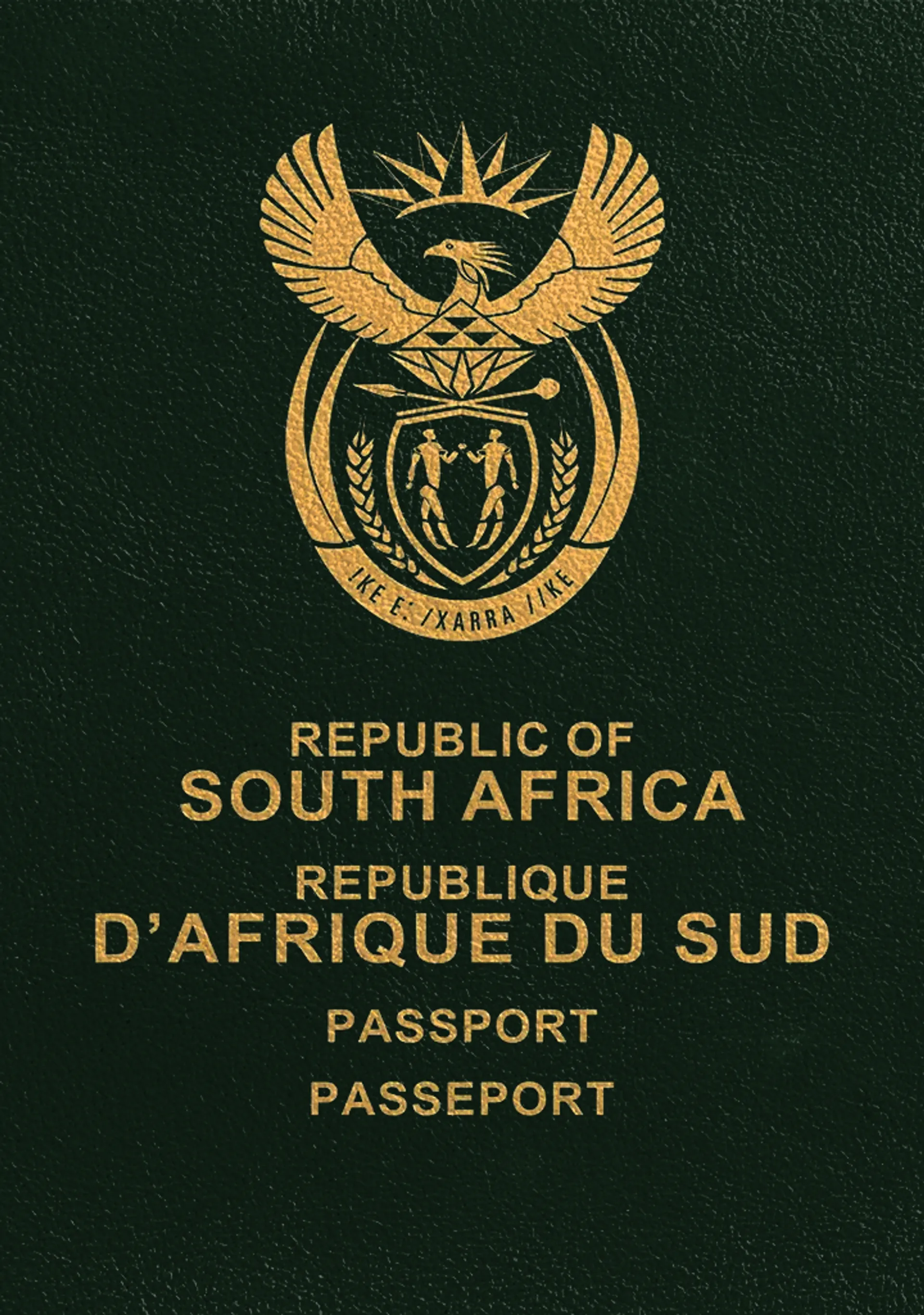 South African Baby Passport Photo